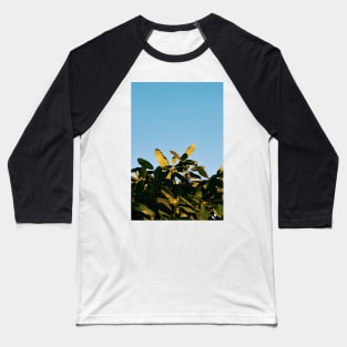 Mid-Winter Sunlight Baseball T-Shirt